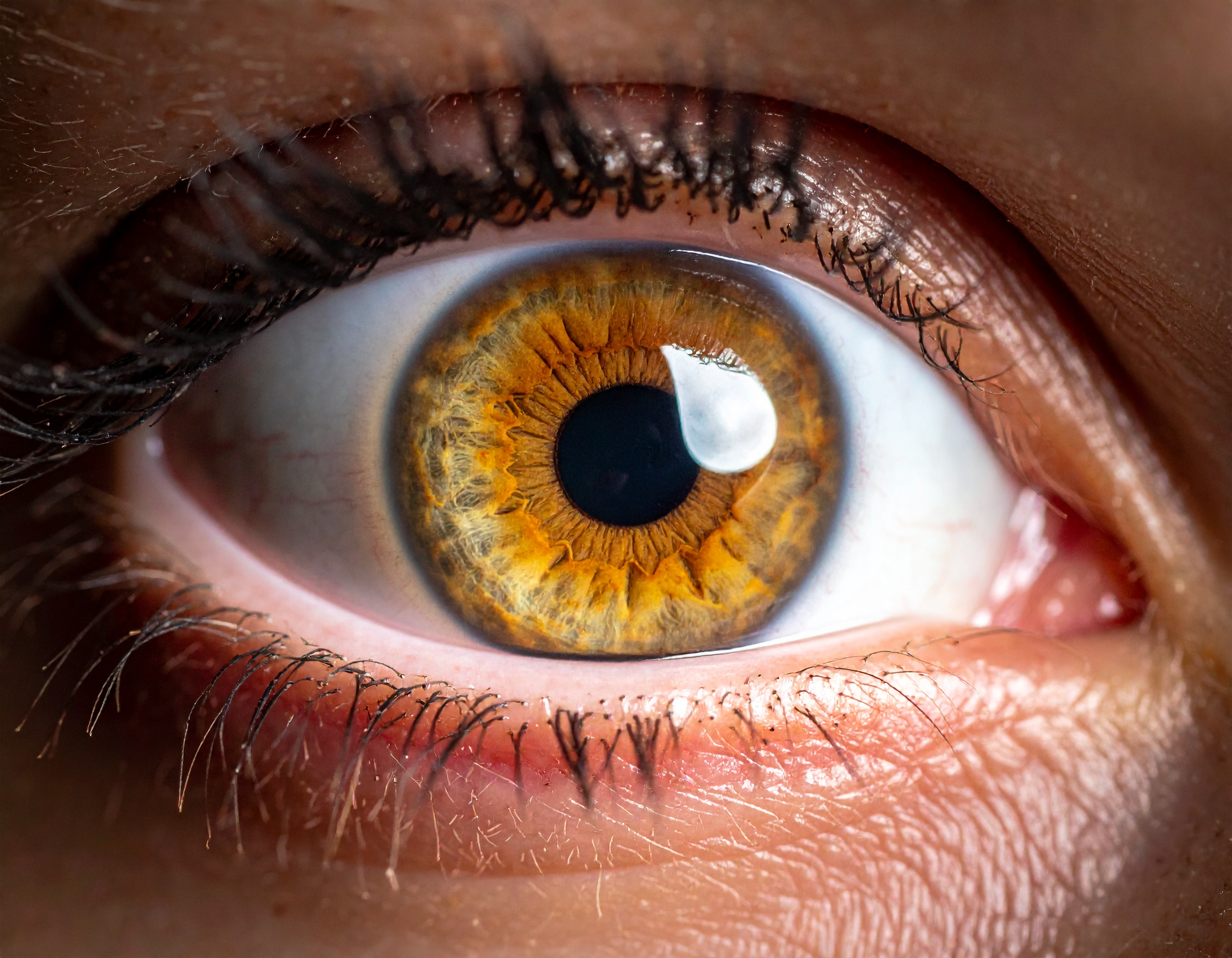A stunning close-up of a hazel eye with flecks of gold and green.